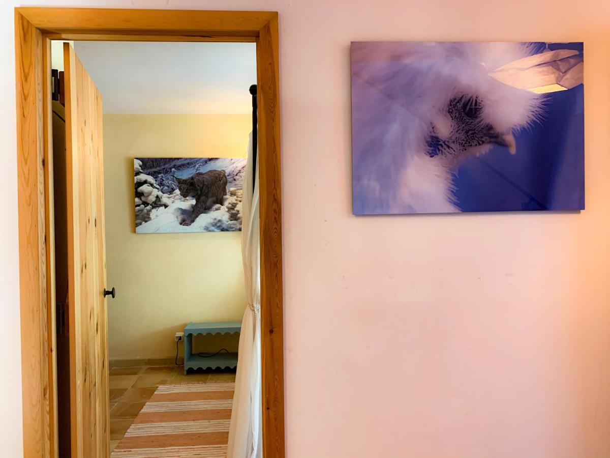 Holiday Home Les Plachettes Flobecq Exterior foto